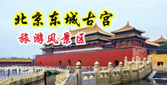 老外喜欢操屁股中国北京-东城古宫旅游风景区